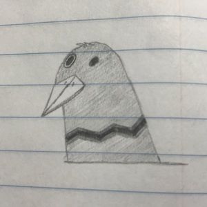 Meet your Posher, Donovan